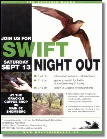 Swift Night Out Poster